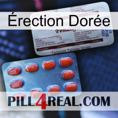 Érection Dorée 36